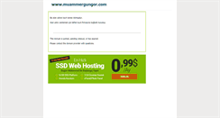 Desktop Screenshot of muammergungor.com